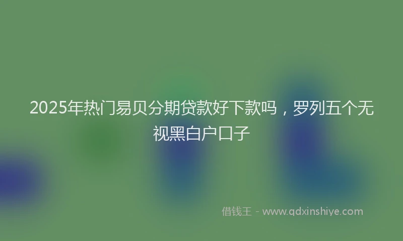 2025年热门易贝分期贷款好下款吗，罗列五个无视黑白户口子