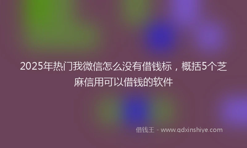 2025年热门我微信怎么没有借钱标，概括5个芝麻信用可以借钱的软件
