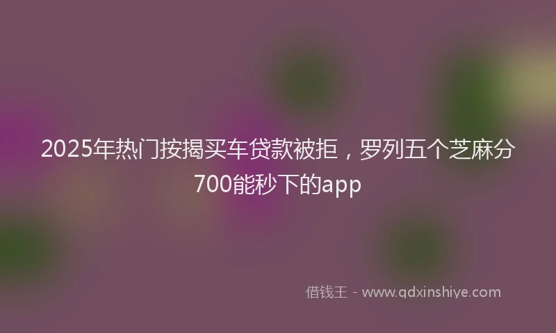2025年热门按揭买车贷款被拒，罗列五个芝麻分700能秒下的app