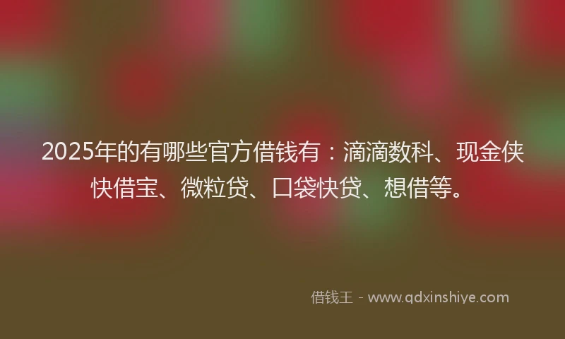 2025年的有哪些官方借钱有：滴滴数科、现金侠快借宝、微粒贷、口袋快贷、想借等。
