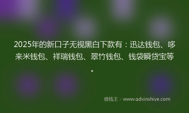 2025年的新口子无视黑白下款有：迅达钱包、哆来米钱包、祥瑞钱包、翠竹钱包、钱袋瞬贷宝等。