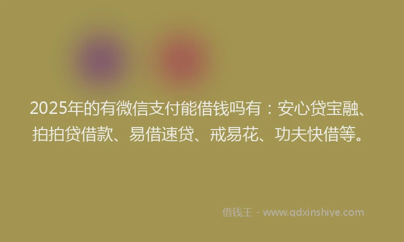 2025年的有微信支付能借钱吗有：安心贷宝融、拍拍贷借款、易借速贷、戒易花、功夫快借等。