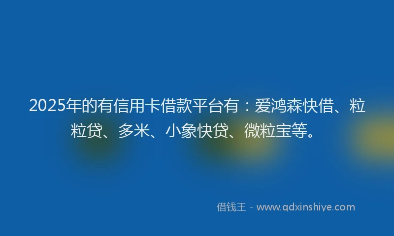 2025年的有信用卡借款平台有：爱鸿森快借、粒粒贷、多米、小象快贷、微粒宝等。
