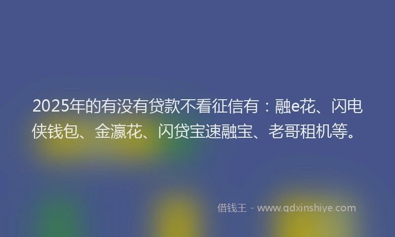 2025年的有没有贷款不看征信有：融e花、闪电侠钱包、金瀛花、闪贷宝速融宝、老哥租机等。