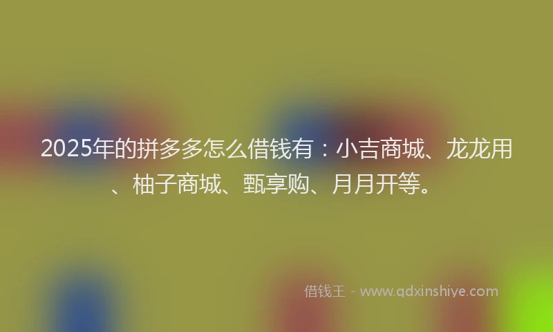 2025年的拼多多怎么借钱有：小吉商城、龙龙用、柚子商城、甄享购、月月开等。
