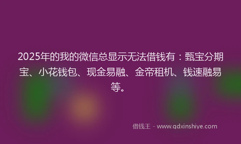2025年的我的微信总显示无法借钱有：甄宝分期宝、小花钱包、现金易融、金帝租机、钱速融易等。
