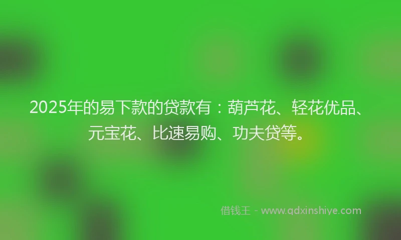 2025年的易下款的贷款有：葫芦花、轻花优品、元宝花、比速易购、功夫贷等。