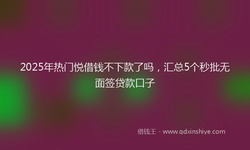 2025年热门悦借钱不下款了吗，汇总5个秒批无面签贷款口子