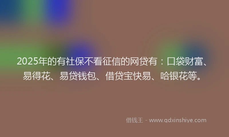 2025年的有社保不看征信的网贷有：口袋财富、易得花、易贷钱包、借贷宝快易、哈银花等。