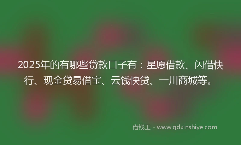 2025年的有哪些贷款口子有：星愿借款、闪借快行、现金贷易借宝、云钱快贷、一川商城等。
