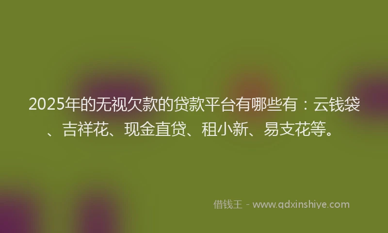 2025年的无视欠款的贷款平台有哪些有：云钱袋、吉祥花、现金直贷、租小新、易支花等。