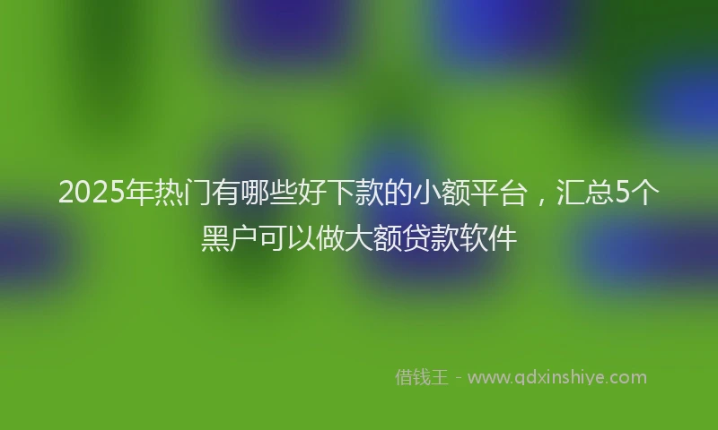 2025年热门有哪些好下款的小额平台，汇总5个黑户可以做大额贷款软件