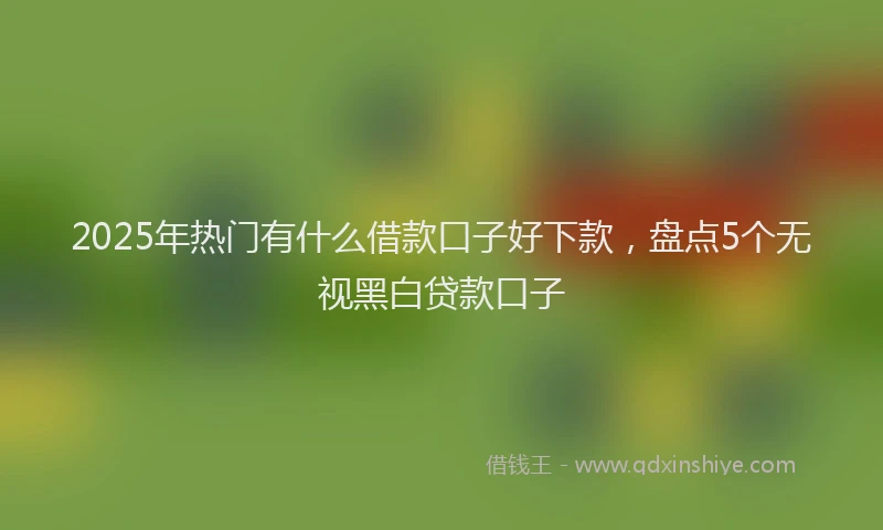 2025年热门有什么借款口子好下款，盘点5个无视黑白贷款口子