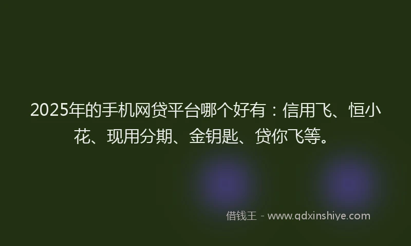 2025年的手机网贷平台哪个好有：信用飞、恒小花、现用分期、金钥匙、贷你飞等。