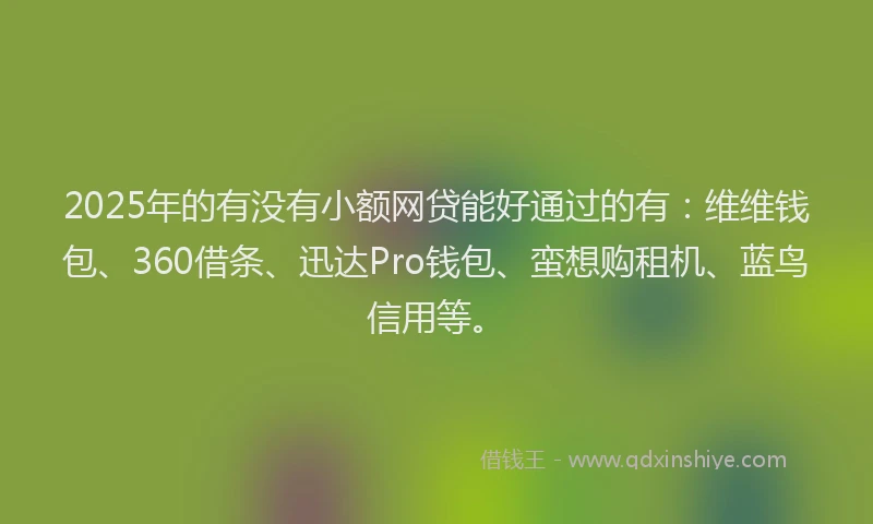 2025年的有没有小额网贷能好通过的有：维维钱包、360借条、迅达Pro钱包、蛮想购租机、蓝鸟信用等。