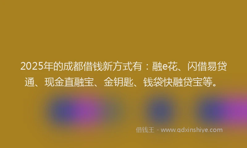 2025年的成都借钱新方式有：融e花、闪借易贷通、现金直融宝、金钥匙、钱袋快融贷宝等。