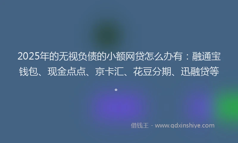2025年的无视负债的小额网贷怎么办有：融通宝钱包、现金点点、京卡汇、花豆分期、迅融贷等。