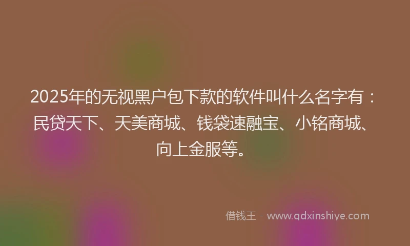2025年的无视黑户包下款的软件叫什么名字有：民贷天下、天美商城、钱袋速融宝、小铭商城、向上金服等。