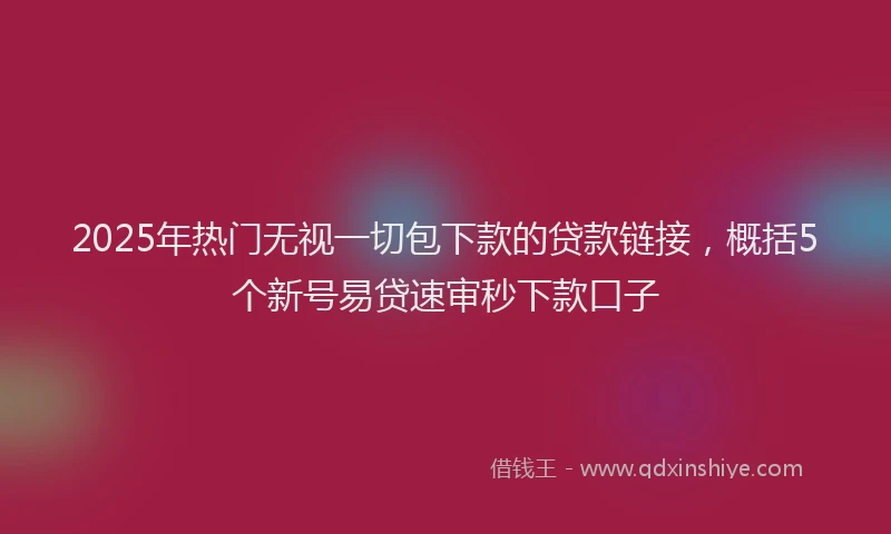 2025年热门无视一切包下款的贷款链接，概括5个新号易贷速审秒下款口子