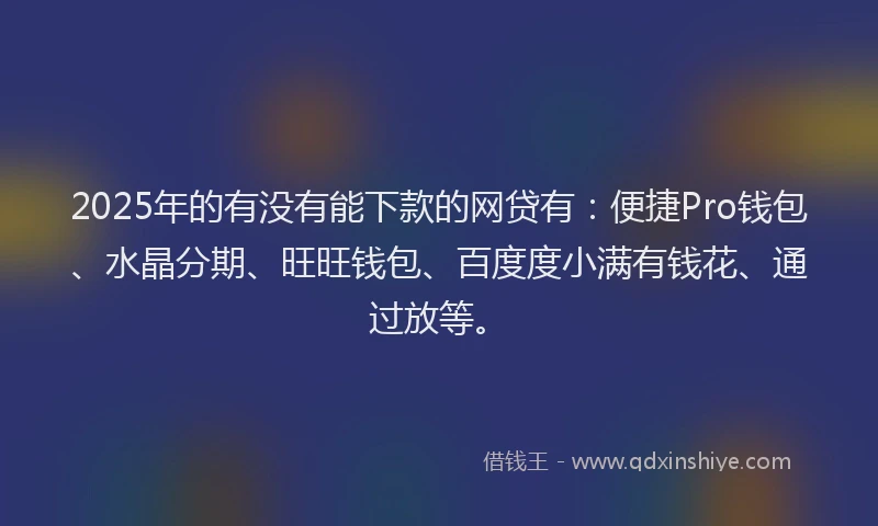 2025年的有没有能下款的网贷有：便捷Pro钱包、水晶分期、旺旺钱包、百度度小满有钱花、通过放等。
