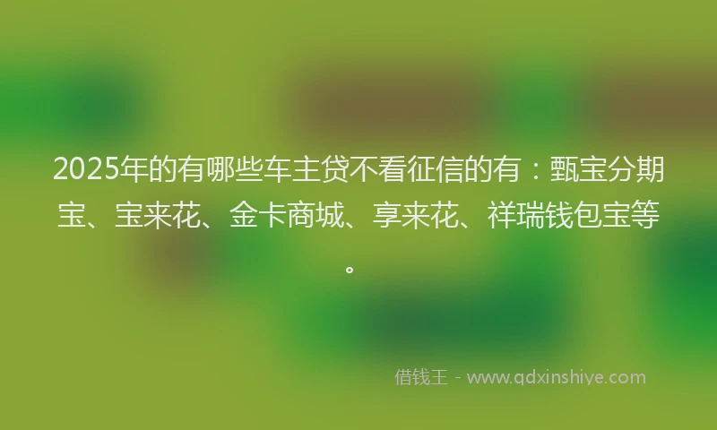 2025年的有哪些车主贷不看征信的有：甄宝分期宝、宝来花、金卡商城、享来花、祥瑞钱包宝等。