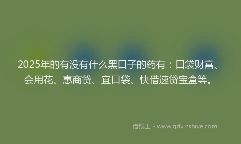 2025年的有没有什么黑口子的药有：口袋财富、会用花、惠商贷、宜口袋、快借速贷宝盒等。
