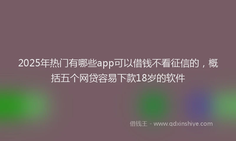 2025年热门有哪些app可以借钱不看征信的，概括五个网贷容易下款18岁的软件