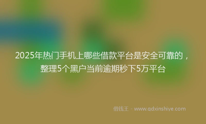 2025年热门手机上哪些借款平台是安全可靠的，整理5个黑户当前逾期秒下5万平台