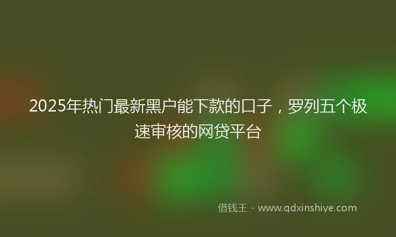 2025年热门最新黑户能下款的口子，罗列五个极速审核的网贷平台