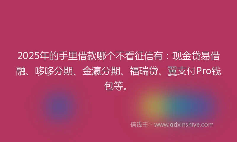 2025年的手里借款哪个不看征信有：现金贷易借融、哆哆分期、金瀛分期、福瑞贷、翼支付Pro钱包等。