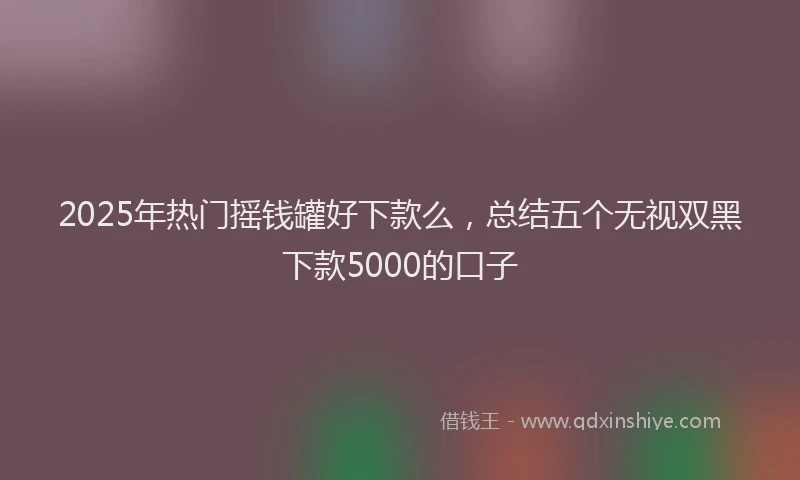 2025年热门摇钱罐好下款么，总结五个无视双黑下款5000的口子
