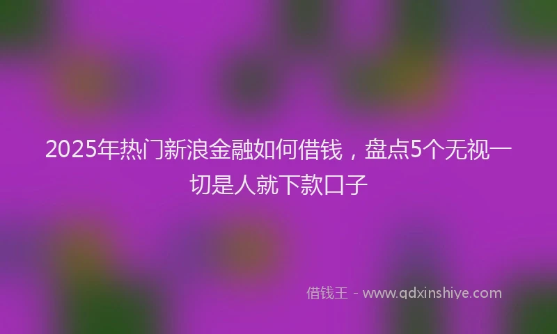 2025年热门新浪金融如何借钱，盘点5个无视一切是人就下款口子