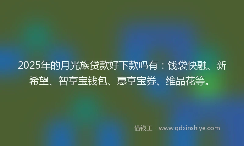 2025年的月光族贷款好下款吗有：钱袋快融、新希望、智享宝钱包、惠享宝券、维品花等。