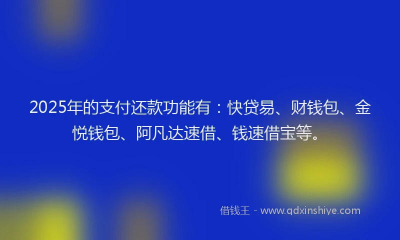 2025年的支付还款功能有：快贷易、财钱包、金悦钱包、阿凡达速借、钱速借宝等。