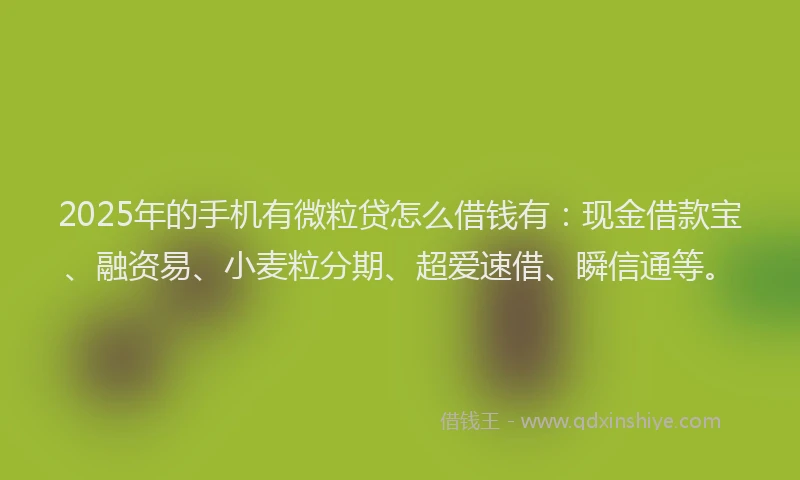 2025年的手机有微粒贷怎么借钱有：现金借款宝、融资易、小麦粒分期、超爱速借、瞬信通等。