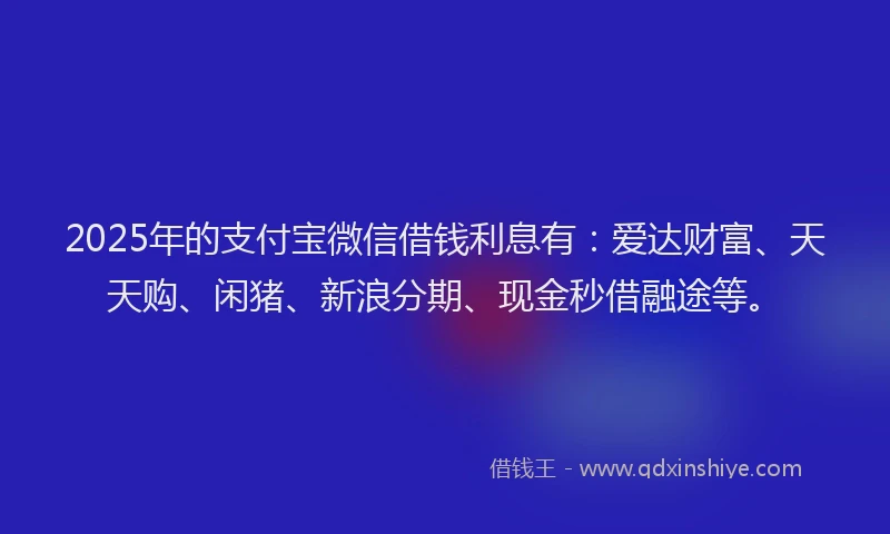 2025年的支付宝微信借钱利息有：爱达财富、天天购、闲猪、新浪分期、现金秒借融途等。