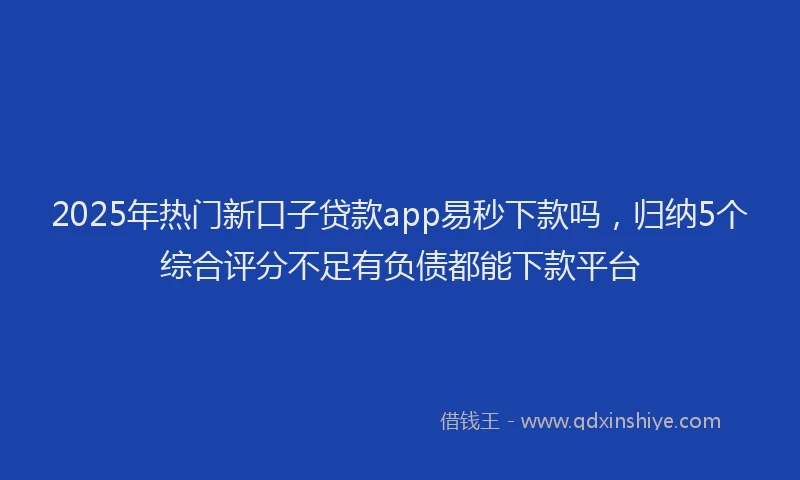 2025年热门新口子贷款app易秒下款吗，归纳5个综合评分不足有负债都能下款平台