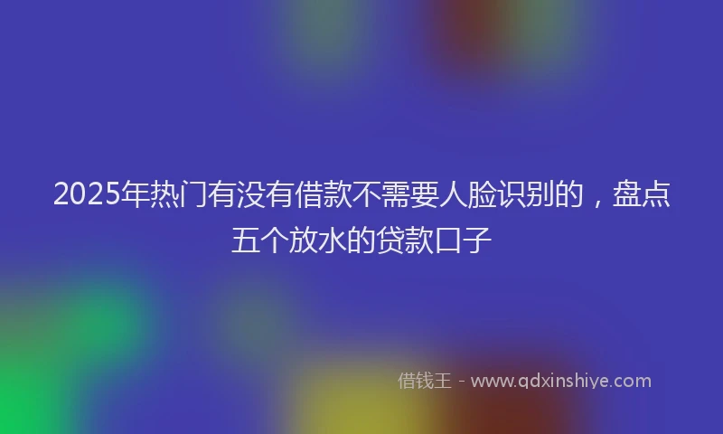 2025年热门有没有借款不需要人脸识别的，盘点五个放水的贷款口子