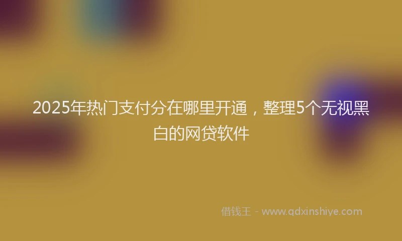 2025年热门支付分在哪里开通，整理5个无视黑白的网贷软件