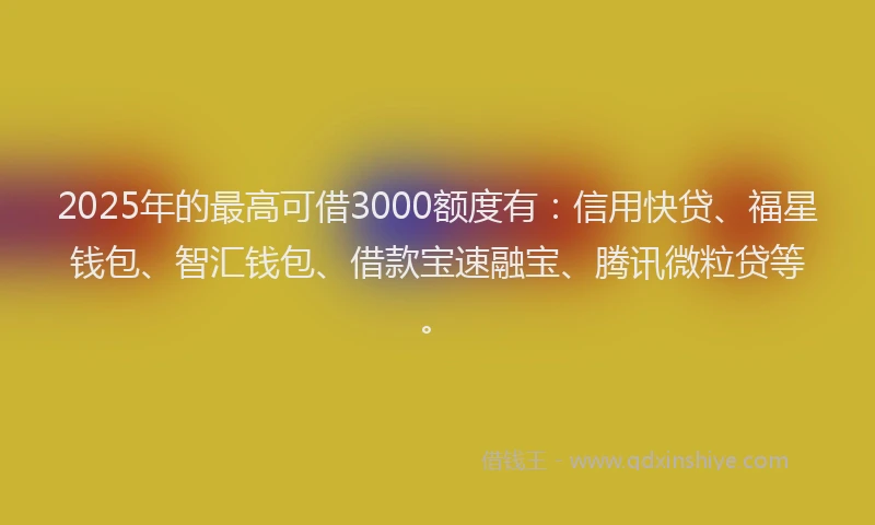2025年的最高可借3000额度有：信用快贷、福星钱包、智汇钱包、借款宝速融宝、腾讯微粒贷等。