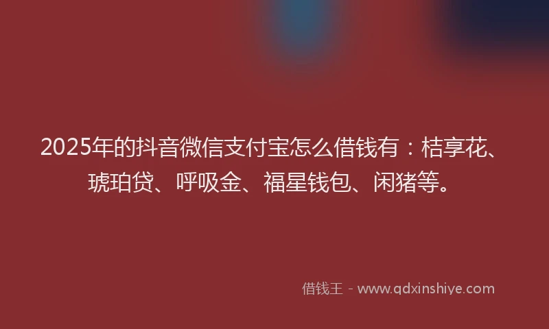 2025年的抖音微信支付宝怎么借钱有：桔享花、琥珀贷、呼吸金、福星钱包、闲猪等。