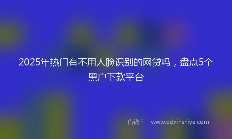 2025年热门有不用人脸识别的网贷吗，盘点5个黑户下款平台