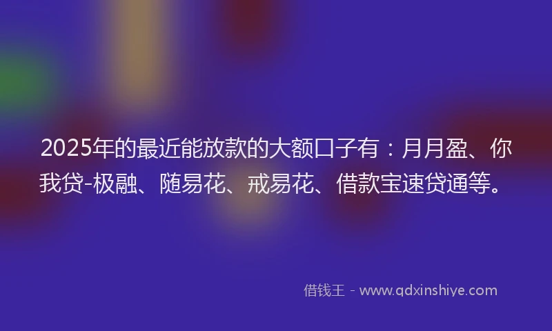 2025年的最近能放款的大额口子有：月月盈、你我贷-极融、随易花、戒易花、借款宝速贷通等。