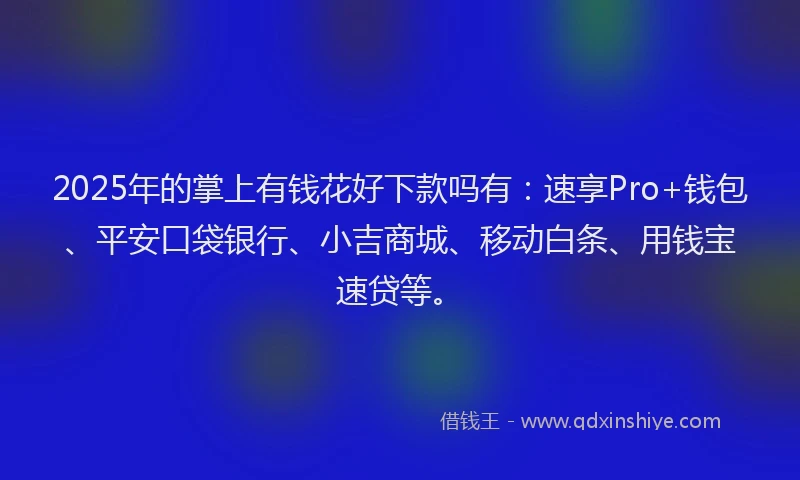 2025年的掌上有钱花好下款吗有：速享Pro+钱包、平安口袋银行、小吉商城、移动白条、用钱宝速贷等。