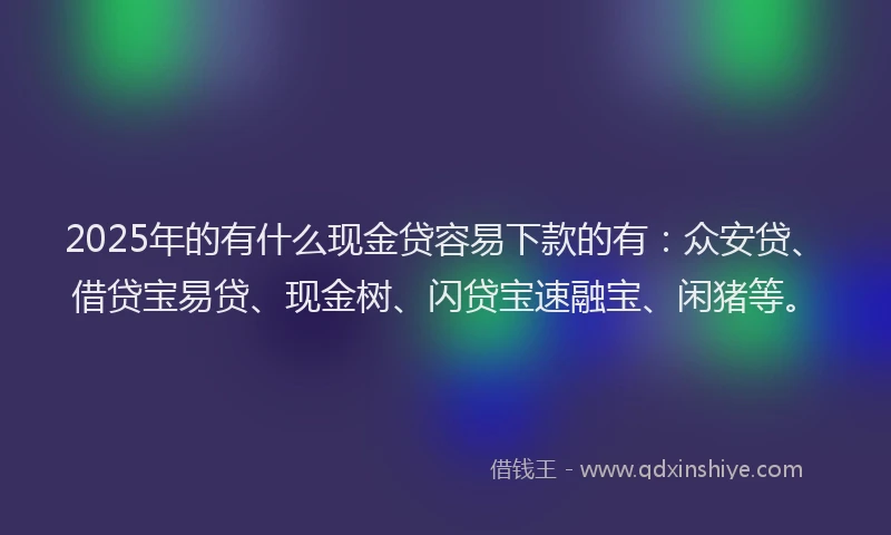 2025年的有什么现金贷容易下款的有：众安贷、借贷宝易贷、现金树、闪贷宝速融宝、闲猪等。