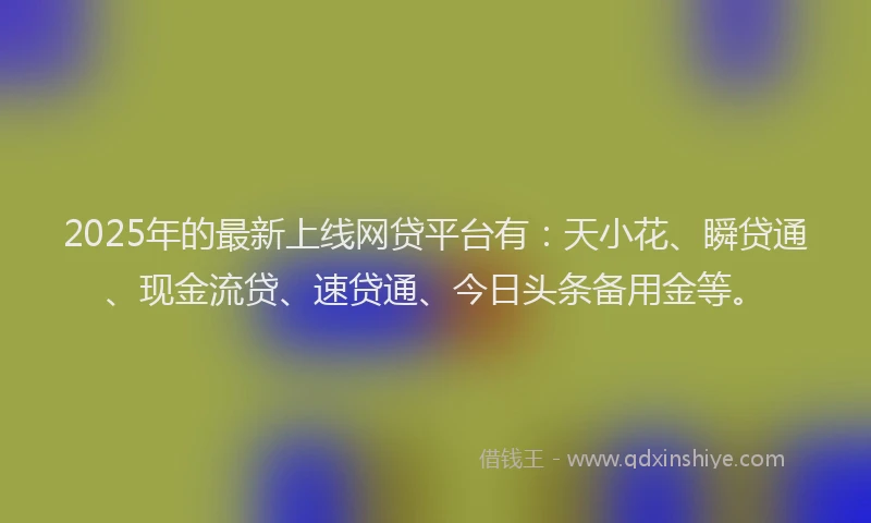 2025年的最新上线网贷平台有：天小花、瞬贷通、现金流贷、速贷通、今日头条备用金等。
