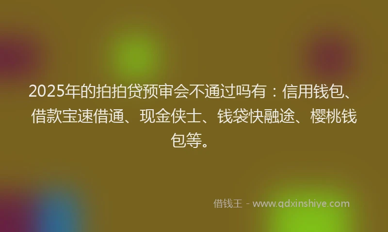 2025年的拍拍贷预审会不通过吗有：信用钱包、借款宝速借通、现金侠士、钱袋快融途、樱桃钱包等。