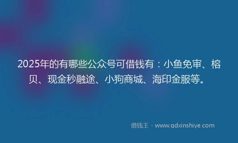 2025年的有哪些公众号可借钱有：小鱼免审、榕贝、现金秒融途、小狗商城、海印金服等。
