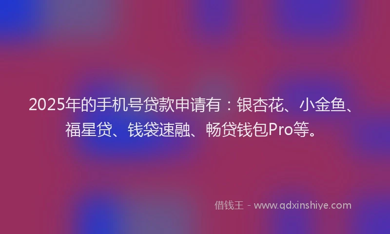 2025年的手机号贷款申请有：银杏花、小金鱼、福星贷、钱袋速融、畅贷钱包Pro等。