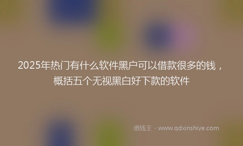 2025年热门有什么软件黑户可以借款很多的钱，概括五个无视黑白好下款的软件